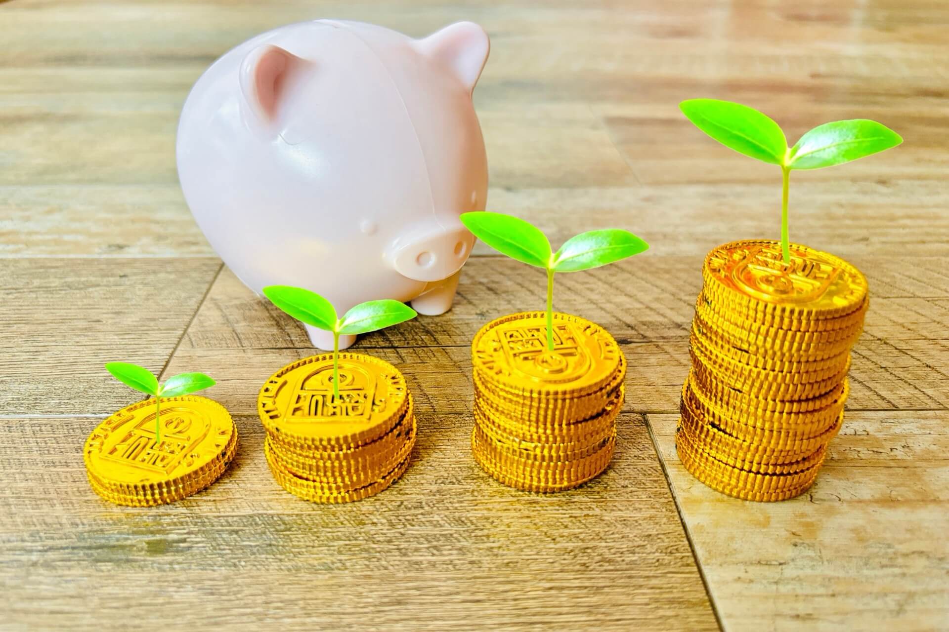 芽が出たコインの山と豚の貯金箱で表した、資産が育つイメージ